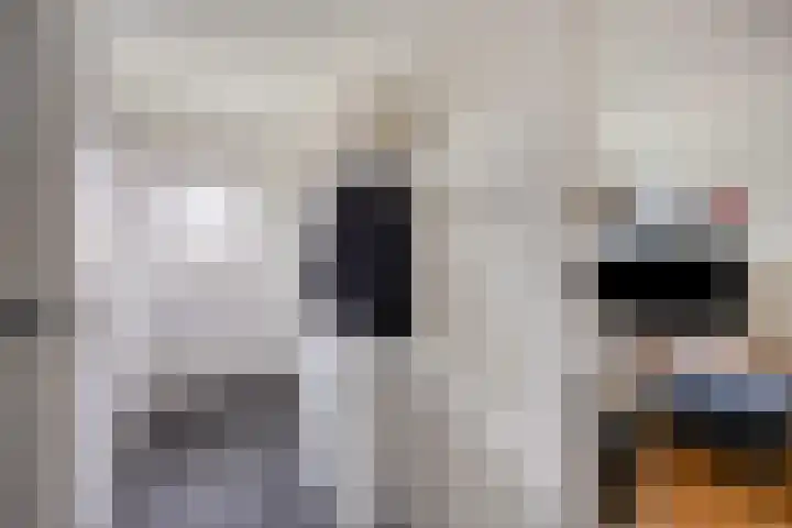 Ruiterstraat 16 Horn thumbnail 9