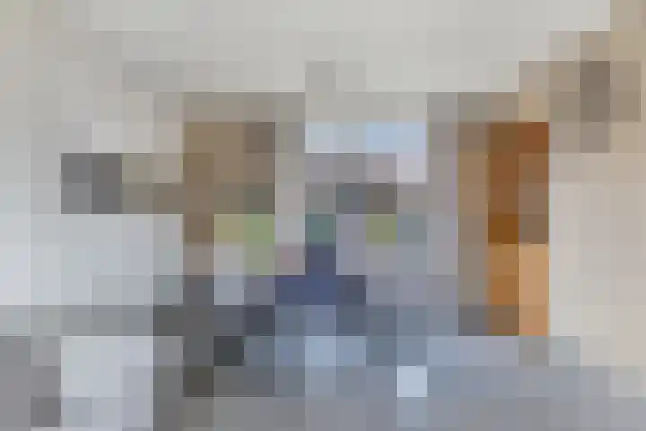 Ruiterstraat 3 Luttelgeest thumbnail 12
