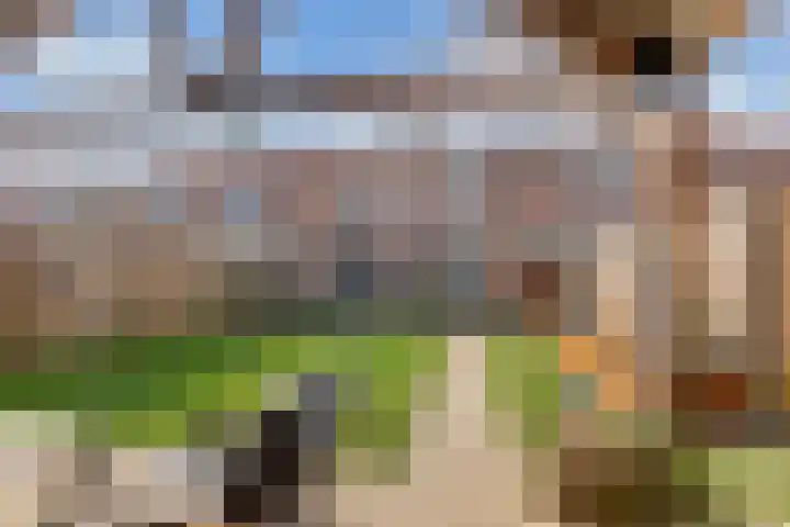 Ruiterstraat 3 Luttelgeest thumbnail 32