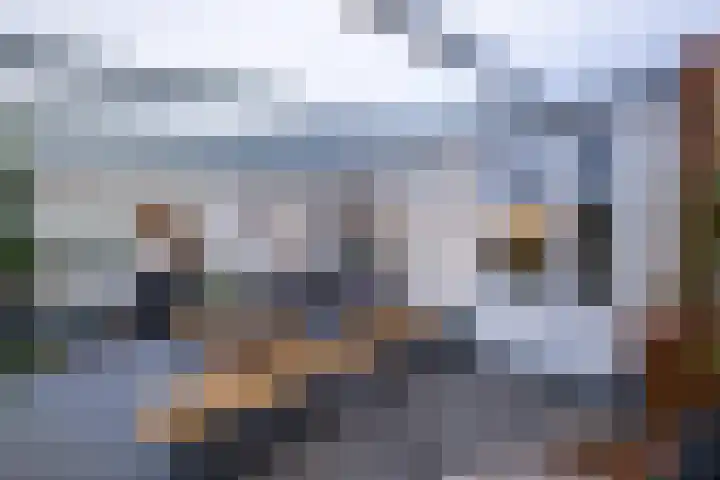 Ruitersweg 24 Susteren thumbnail 34