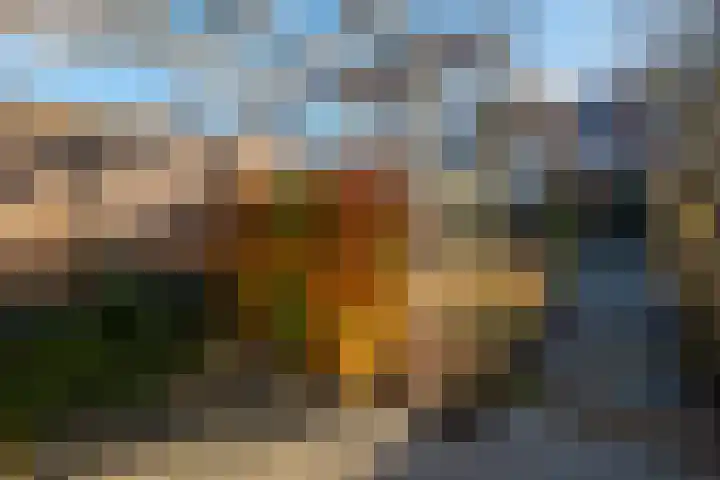 Ruitersweg 24 Susteren thumbnail 40