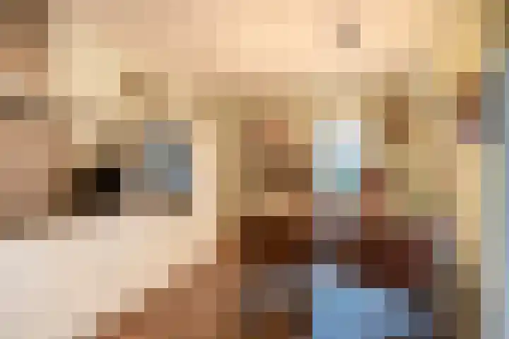 Rullen 14 Nuenen thumbnail 18