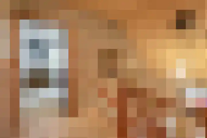 Rullen 14 Nuenen thumbnail 28
