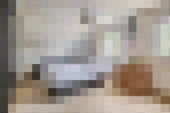 Rullen 14 Nuenen thumbnail 29