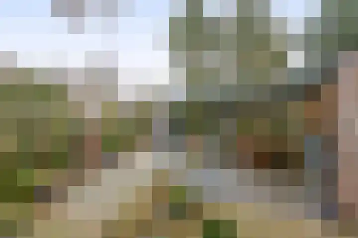 Rullen 14 Nuenen thumbnail 34