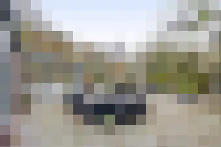 Rullen 14 Nuenen thumbnail 39