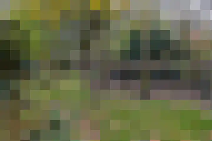 Rullen 14 Nuenen thumbnail 40