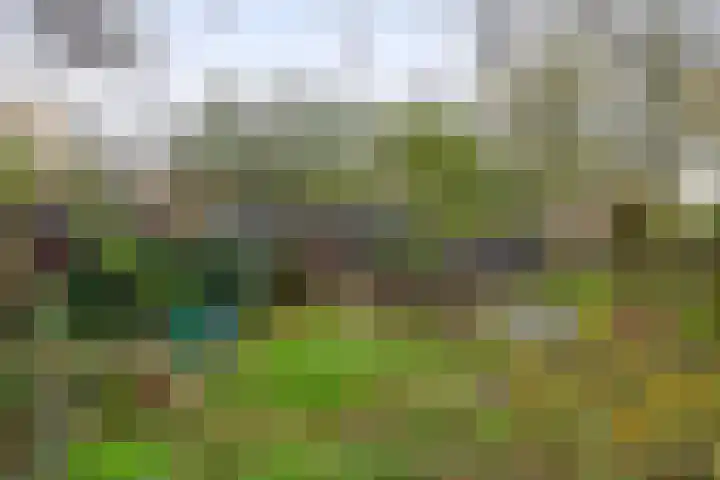 Rullen 14 Nuenen thumbnail 42