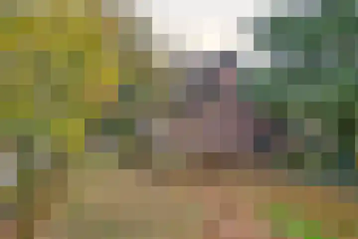 Rullen 14 Nuenen thumbnail 51