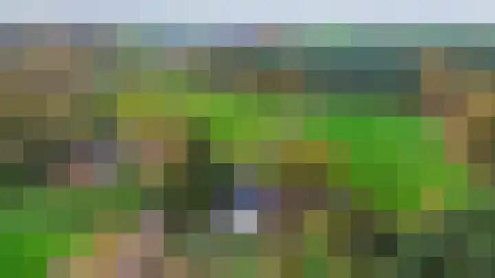 Rullen 14 Nuenen thumbnail 53