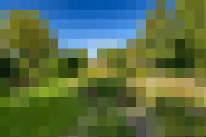 Rulstraat 4 Geldrop thumbnail 10