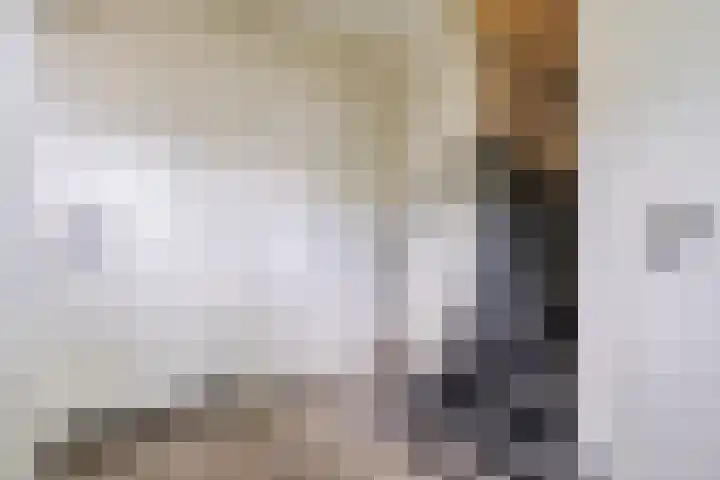 Rulstraat 4 Geldrop thumbnail 18