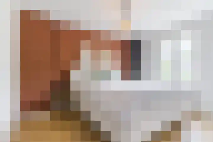 Rulstraat 4 Geldrop thumbnail 20