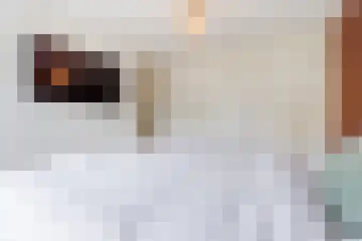 Rulstraat 4 Geldrop thumbnail 21