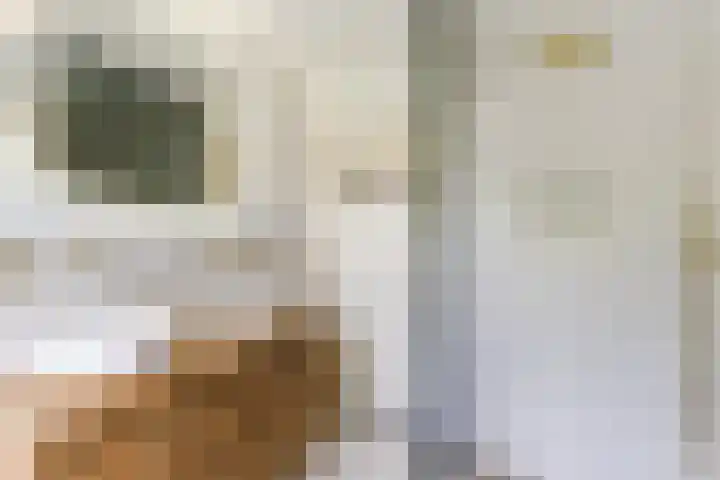 Rulstraat 4 Geldrop thumbnail 27