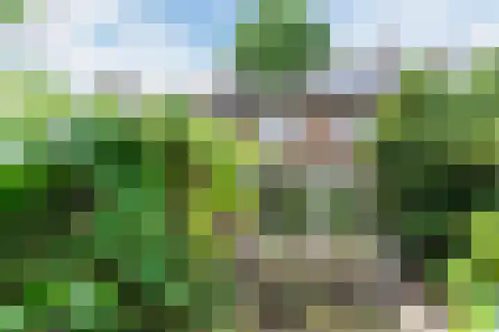 Rulstraat 4 Geldrop thumbnail 38