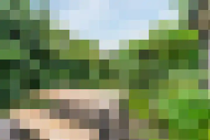 Rulstraat 4 Geldrop thumbnail 40