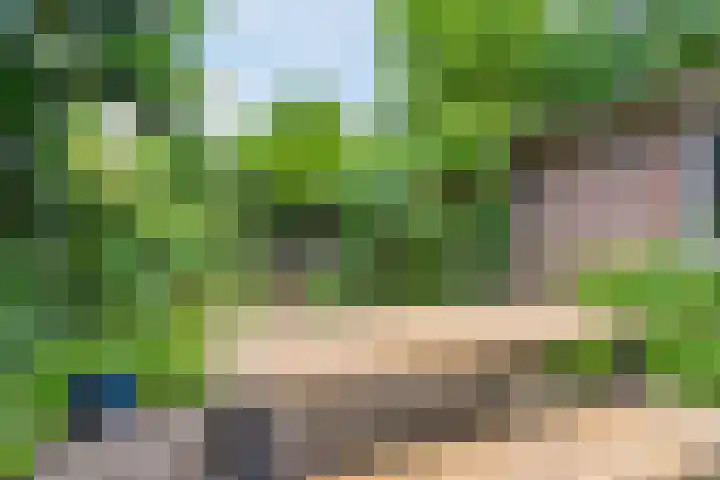 Rulstraat 4 Geldrop thumbnail 41