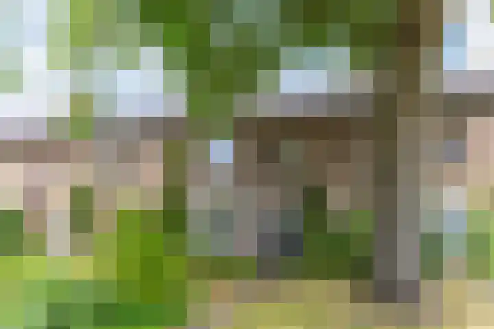 Rulstraat 4 Geldrop thumbnail 47