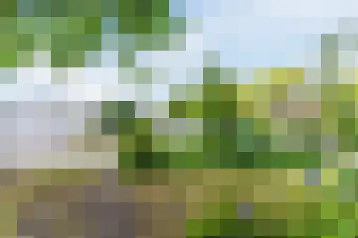Rulstraat 4 Geldrop thumbnail 48