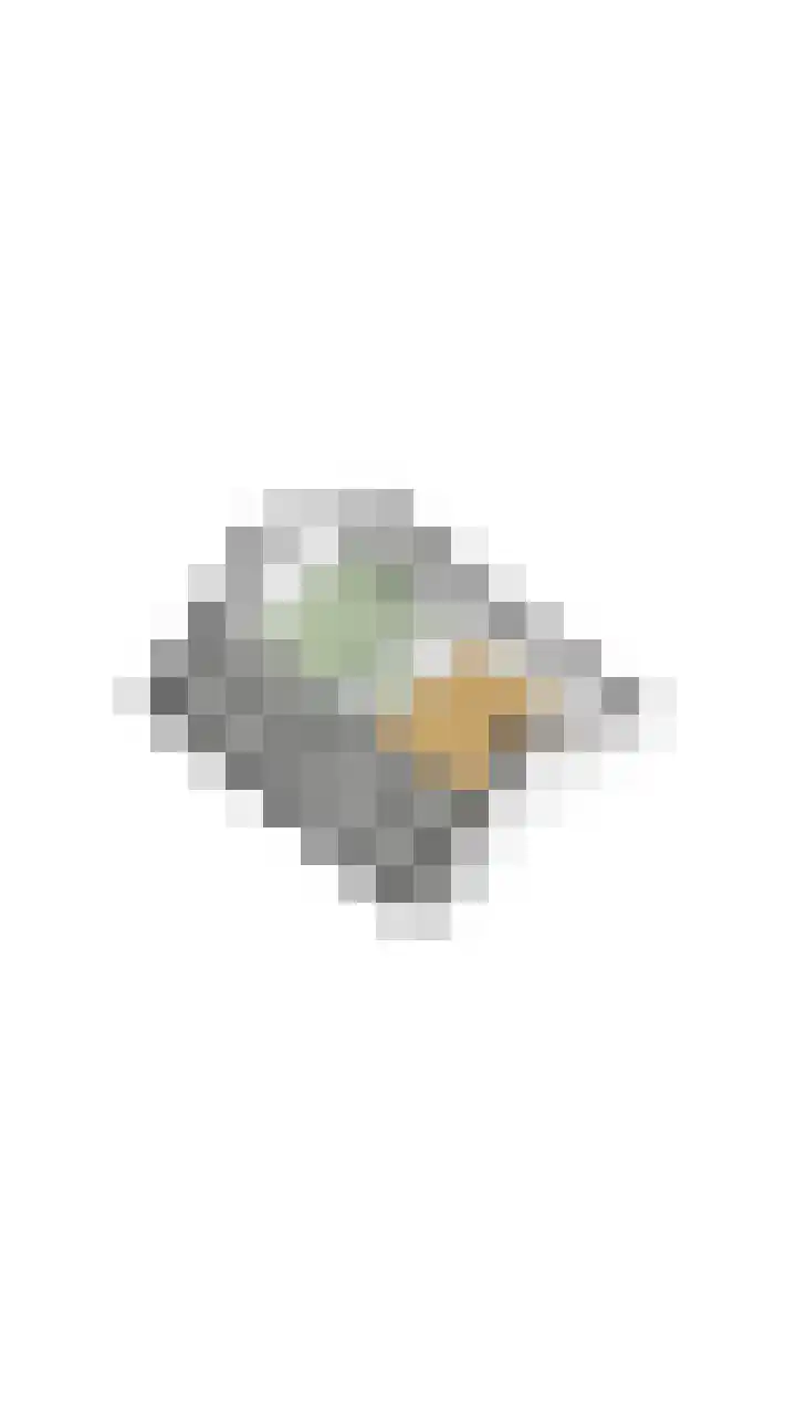 Rulstraat 4 Geldrop thumbnail 56