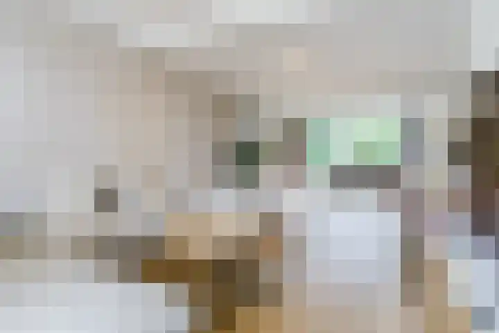 Rulstraat 4 Geldrop thumbnail 8