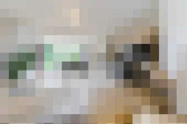 Rulstraat 4 Geldrop thumbnail 9