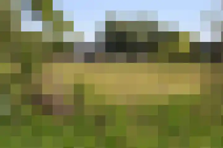 Rumbeke 7 Amsterdam thumbnail 31