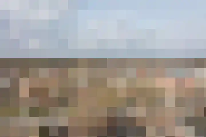 Runde NZ 169 Emmer-Compascuum thumbnail 36