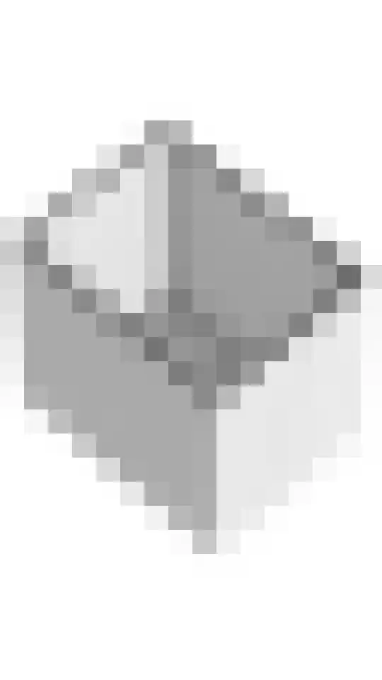 Runde NZ 169 Emmer-Compascuum thumbnail 41