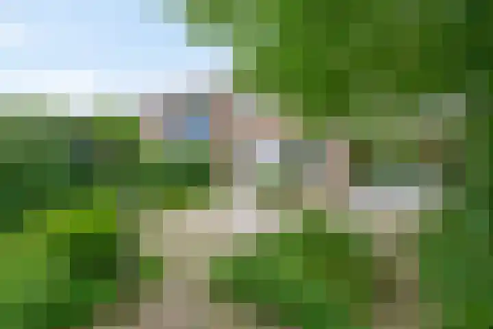 Runderweide 3 Zoetermeer thumbnail 10