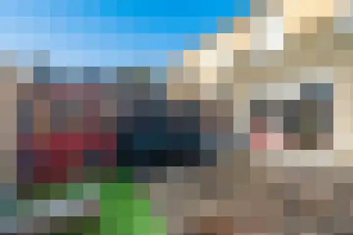 Runderweide 3 Zoetermeer thumbnail 16