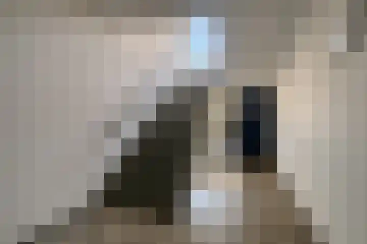 Runderweide 3 Zoetermeer thumbnail 25