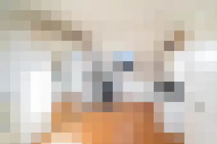 Runderweide 3 Zoetermeer thumbnail 37