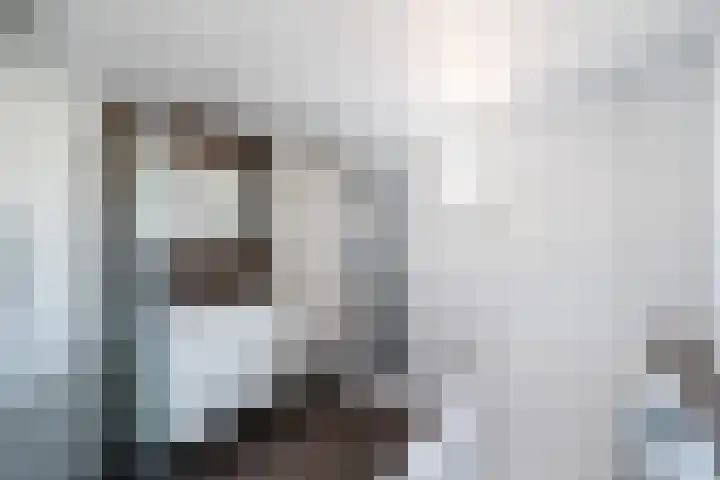 Runderweide 3 Zoetermeer thumbnail 4