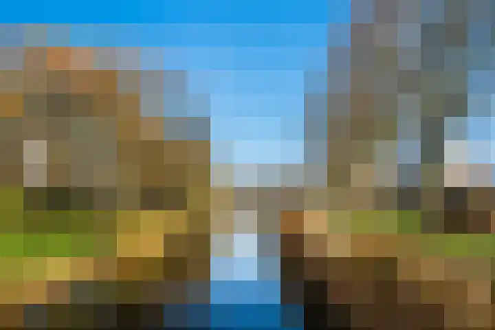 Runderweide 3 Zoetermeer thumbnail 44