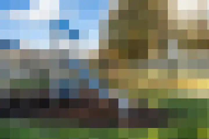 Runderweide 3 Zoetermeer thumbnail 46