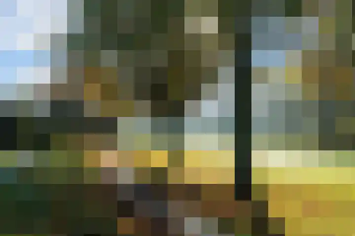 Runderweide 3 Zoetermeer thumbnail 47