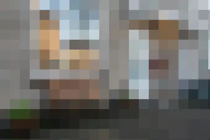 Runderweide 3 Zoetermeer thumbnail 7