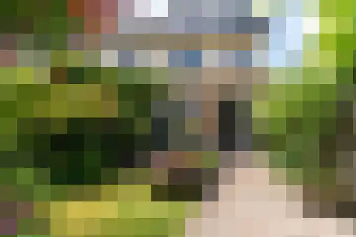 Runmolen 1 Delft thumbnail 22