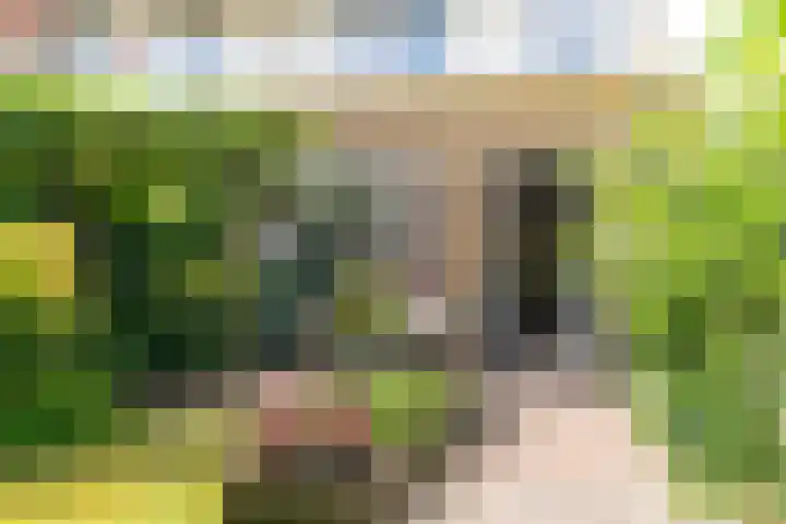 Runmolen 1 Delft thumbnail 23
