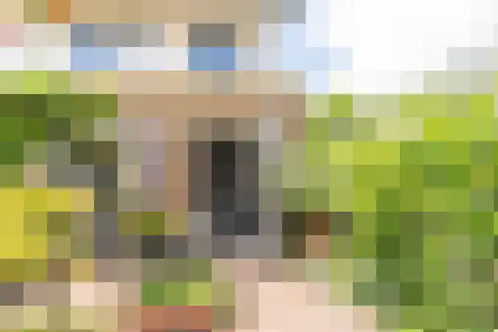 Runmolen 1 Delft thumbnail 24