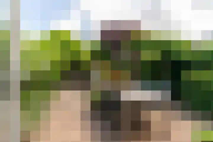 Runmolen 1 Delft thumbnail 4