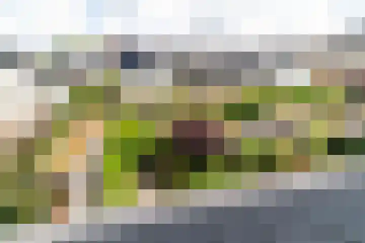 Runmolen 1 Delft thumbnail 47