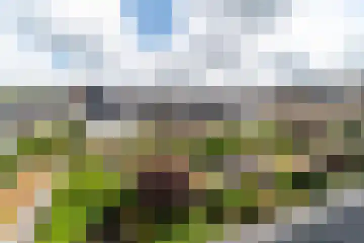 Runmolen 1 Delft thumbnail 48