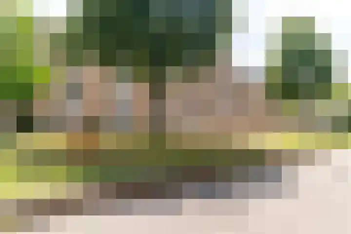 Runmolen 1 Delft thumbnail 51