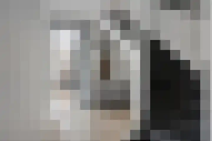 Runmolen 13 Zwolle thumbnail 15