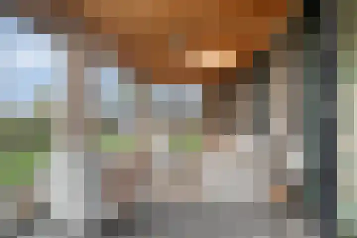 Runmolen 13 Zwolle thumbnail 32