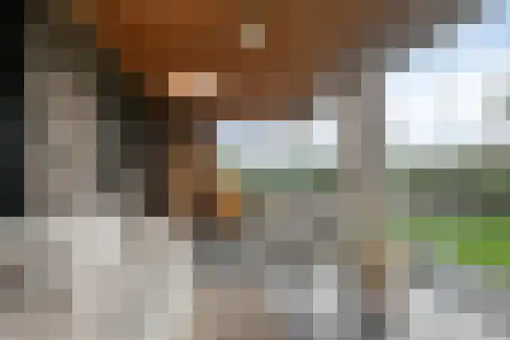 Runmolen 13 Zwolle thumbnail 33
