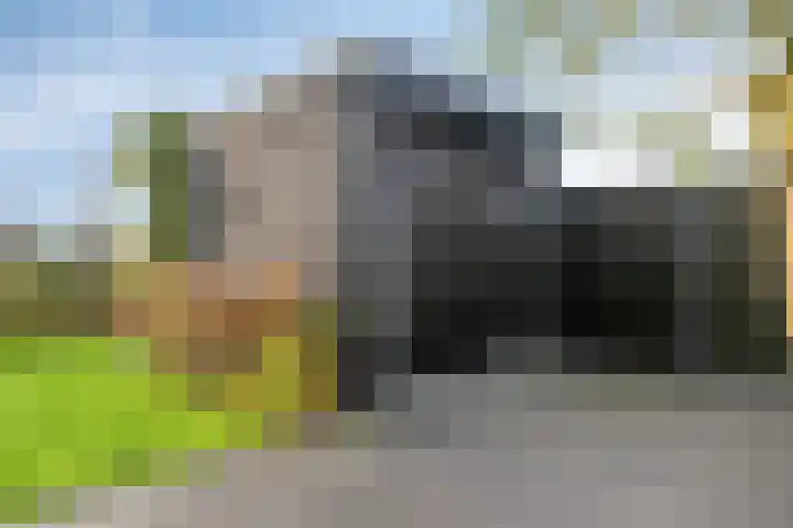 Runmolen 13 Zwolle thumbnail 35